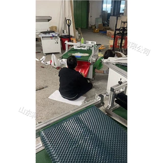 全自动穴盘育苗播种机 西红柿辣椒种子土培机 变频调速育苗机