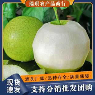 ���ھG��ʯ����9�������������rˮ��10���l���]5��ӱ���Ƥ�ʹ���