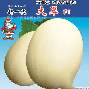 ��һ���������۹ϰ�ɰ�ǹϸ߮a�ļ�ˮ�������߲˷N�����l