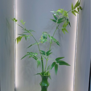 ���l�������~����ʽ�������Ӳ廨С����ë��U��[���b廨�҃�