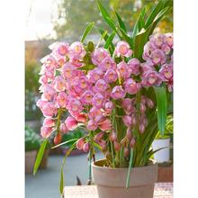 ���ٵĻ��@���������m���Ԏ������̨�m��������������ֲ��