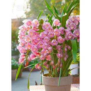 ���ٵĻ��@���������m���Ԏ������̨�m��������������ֲ��