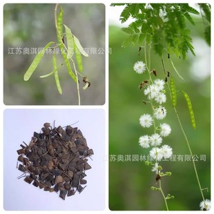 ���u���Ӵ̷N�� �G�h�N�� �����y�Ϛg�N�� �ջh��N�� �G�h�ʷN��