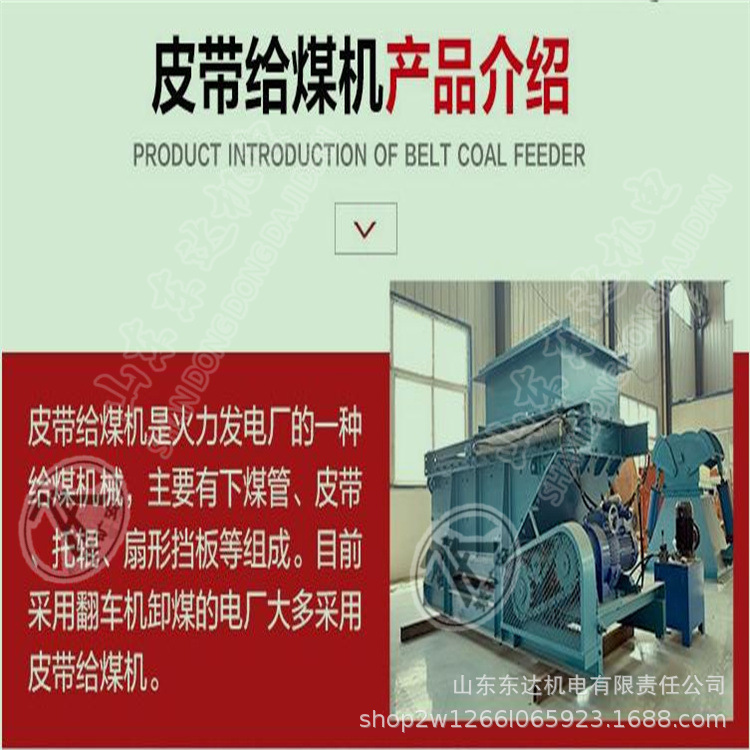 皮带给煤机1.jpg