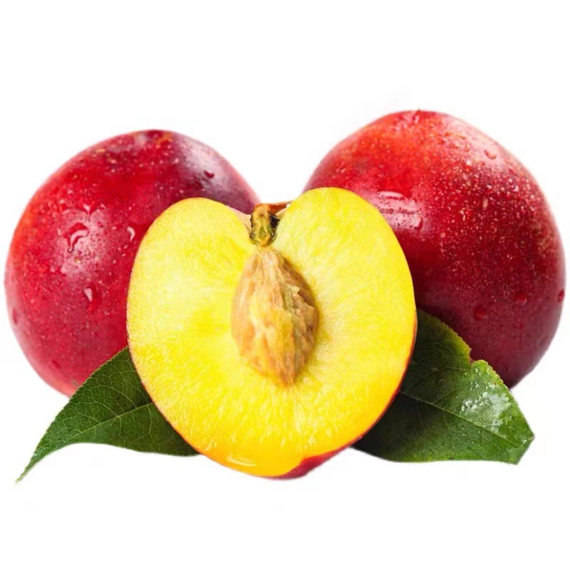 油桃现摘现发黄金心油桃果园直发黄肉蜜桃一件代发