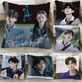 白敬亭抱枕难哄桑延温以凡周边章若楠图片制作沙发靠枕办公坐垫