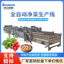 全自动海带 裙带菜脱盐气泡清洗机  迷迭香 芦笋去泥沙清洗机