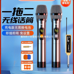 Xinke ユニバーサルワイヤレスマイクユニバーサルプロフェッショナルホームカラオケ屋外オーディオ 1 対 2 レシーバーマイク