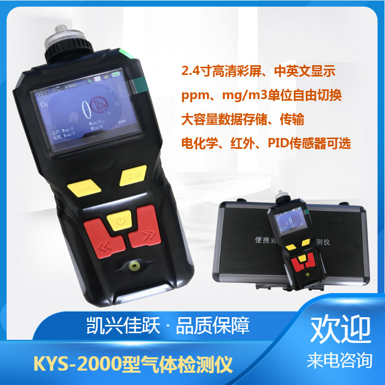 手持泵吸式甲醛测定仪 KYS-2000型CH2O气体检测仪