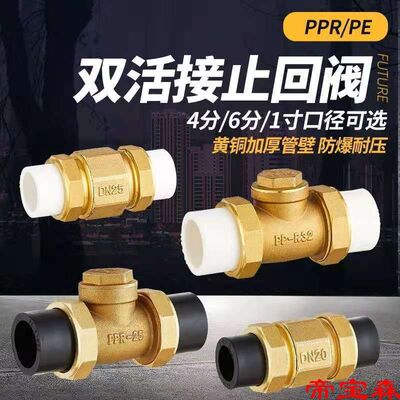 PE Water pipe 20/25/32 Union Check valve PPR461 brass Check Valve Check valve