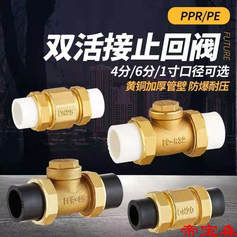 PE Water pipe 20/25/32 Union Check valve PPR461 brass Check Valve Check valve