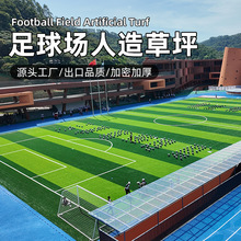 ƺٲƺS˹Ƥ̺ϲƺ䁉|߶Ƥ