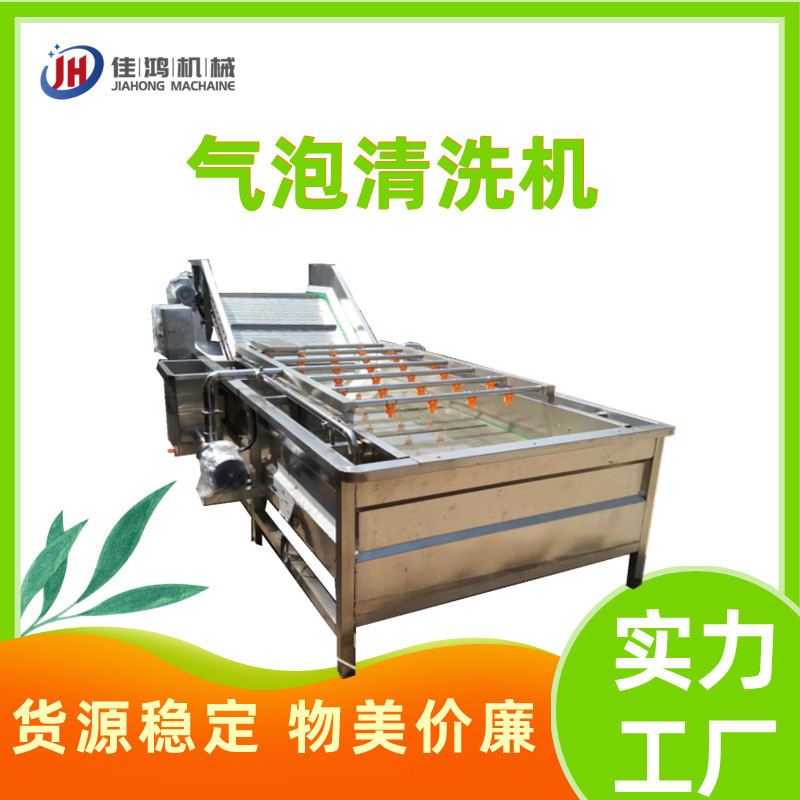 全自动大枣果蔬清洗机 油麦菜洗菜设备 喷淋式水果气泡清洗机佳鸿