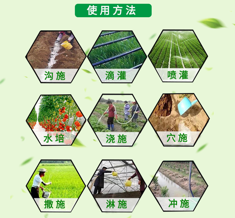 11详情使用方法