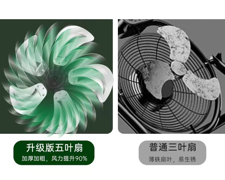 166c2228-554e-4a08-88ed-f28f5c0a1152.jpe