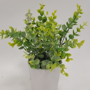 �پGֲ�ȼ��������������������辰����ٻ��Gֲ��͏d�b�Ʒ�[��