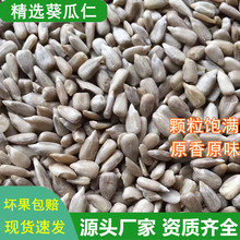 ؛500gɢbwM͹ԭζ決ԭϏSֱN