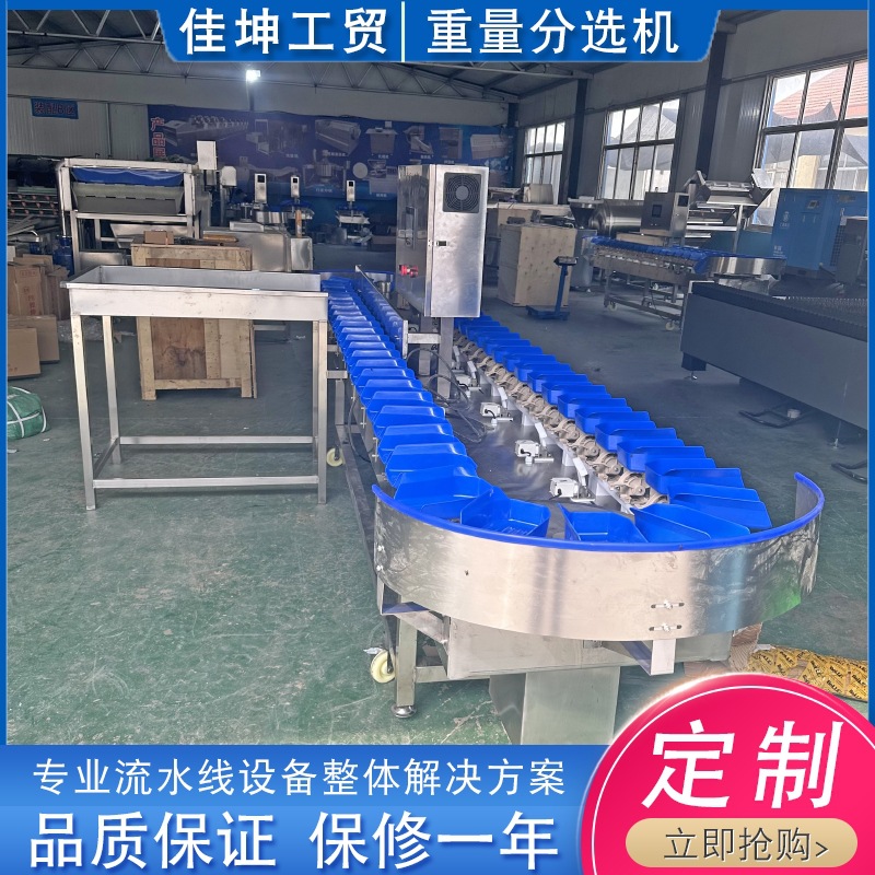 鸡爪大中小重量分选机 生蚝自动分拣机 牛蛙重量分级机厂家供应