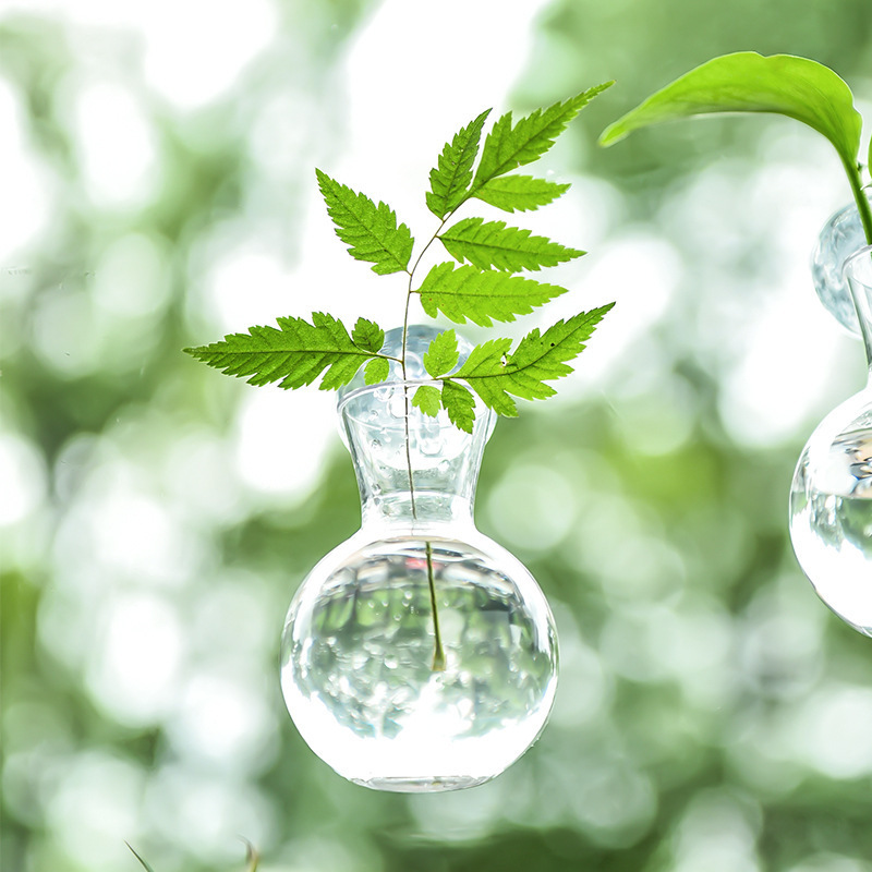 创意DIY水培绿萝植物瓶子家居室内悬挂件装饰小清新亚克力小花瓶|undefined