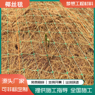 Ҭ�z̺ �o�¿��_����̺ ֲ��ֲ��̺ �ӵ�ֲ���w�S�������B̺�S��