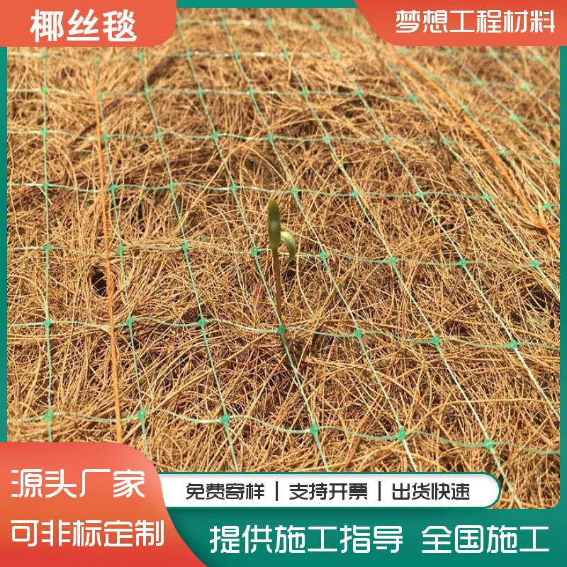 椰丝毯 护坡抗冲生物毯 植生植草毯 河道植物纤维草籽生态毯厂家