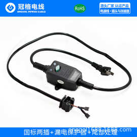 国标两插+漏电保护器插头电源线250V10A