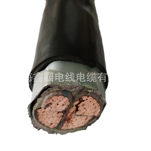 廠家直銷 鎧裝電力電纜 YJV22 0.6/1KV各種規格價格優惠