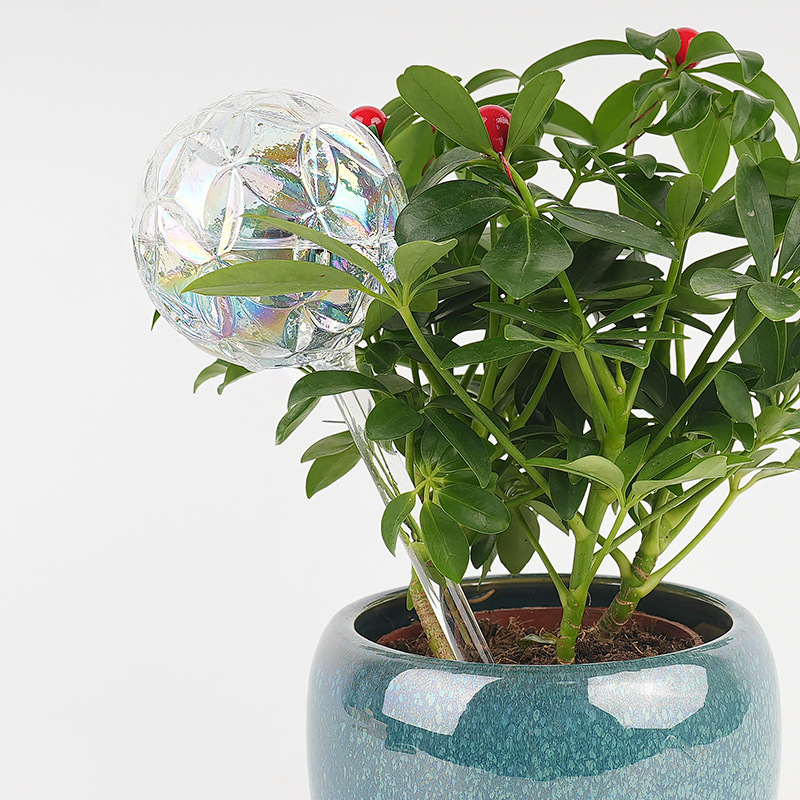 Transfronterizo al por mayor bola serie de riego de flores de vidrio automático goteo maceta ornamental herramienta de jardinería image 4