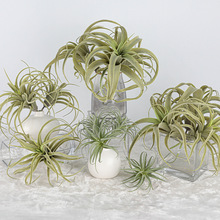 ����՚���P�����ֲ��՚�ݾGֲ�����b���������}�ٻ�ɳĮ��