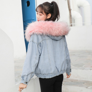 A Large Number of Ready-Made 2025 Winter Thickeneded Plush Fur Collar Denim Cotton Outwears for Women, Loose Short Velvet Cotton Outwears