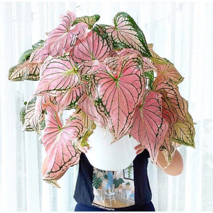 �W�t���~���ɫ���҃ȾGֲ���Ժ��B�������~���w�R2��15�հl��