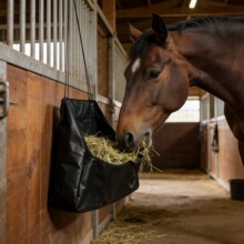 �����Rιʳ���R�ݴ��ι/�ɲ݃���ɑҒ���ۯB��yʽιʳ�R��