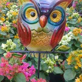 外贸清仓捡漏庭院彩玻猫头鹰花插阳台装饰花园爬藤架园艺趣味杂货
