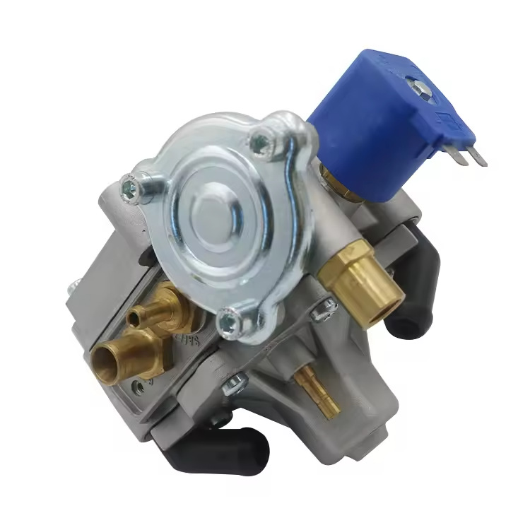 Lpg/Cng Car Oil to Gas At13 Conversion Kit Pressure Reducer Gas Pressure Regulator Gas Car Accessories