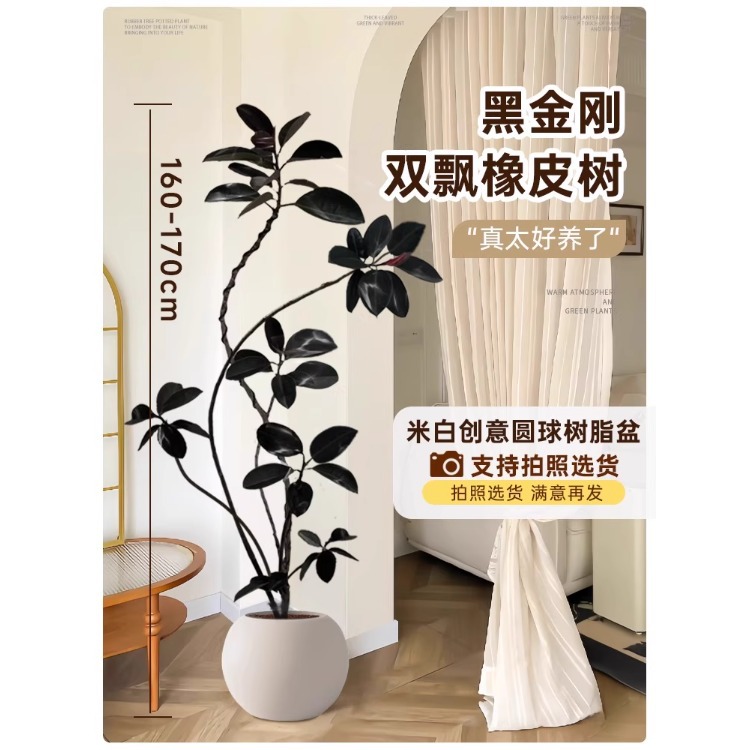 [핫셀링 모델] 이중 떠다니는 가지 고무나무-1.6- 1.7m --미색 크리에이티브 볼 레진 세면대-트레이 포함