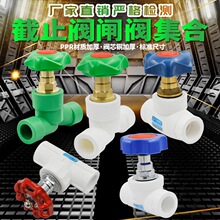 PPR��ֹ�y����ʽ��ֹ�yPPR�y�T 20 4��25 6��pprˮ�ܹܼ����