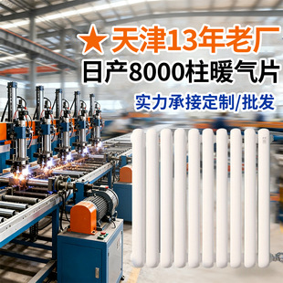 Steel Two-Column Oval 6030 Radiator Engineering Wholesale Exposed Radiator Household Manufacturer Direct Steel Radiator