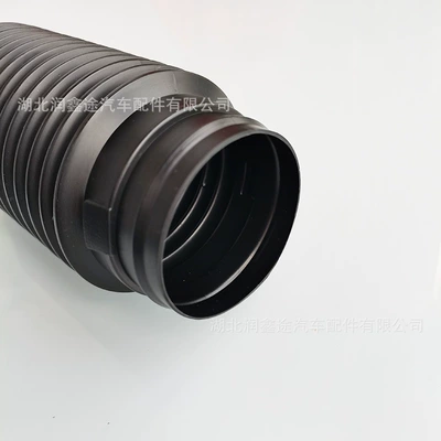 Sega C2 Air Filter Housing – Digər kuzov və aksesuarlar