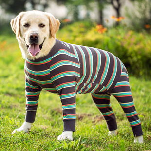 �¿���͹����·����_�½�ë���������_Ħ��ȫ���o�Ƿ���ë����