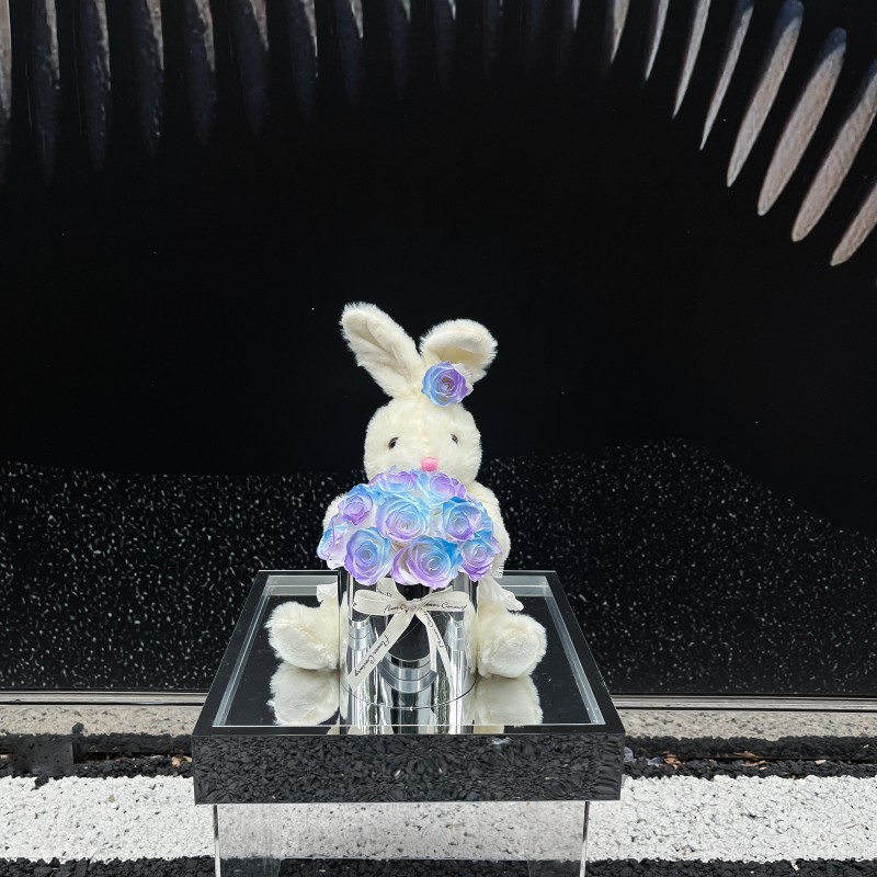 오로라 블루 퍼플