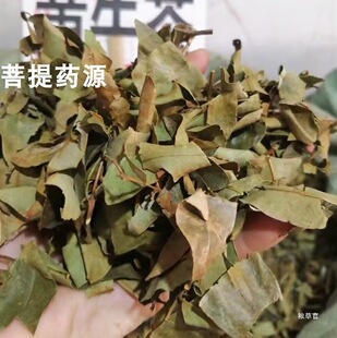 �V��Ұ���Sţ���Sţľ�~500�˾�ѿľ�Sѿľ�M��tȸ��؛��؛