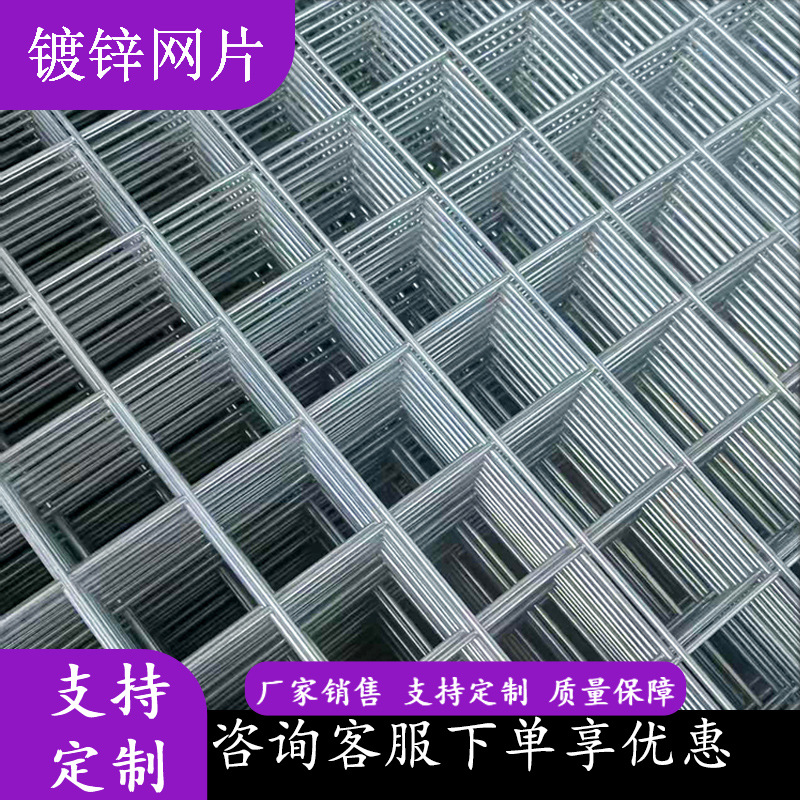 现货批发笼子养殖网方格网片40mm围网养鸡铁丝网20mm镀锌网片