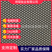 制氢镍网钛网氢能网电解槽用鱼鳞网菱形网污水处理网定制PEM网