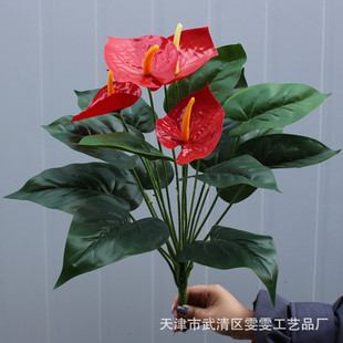 �����t���~�Gֲ���Կ͏d�k���ҾƵ��b��辰�ٻ����滨�[�����l