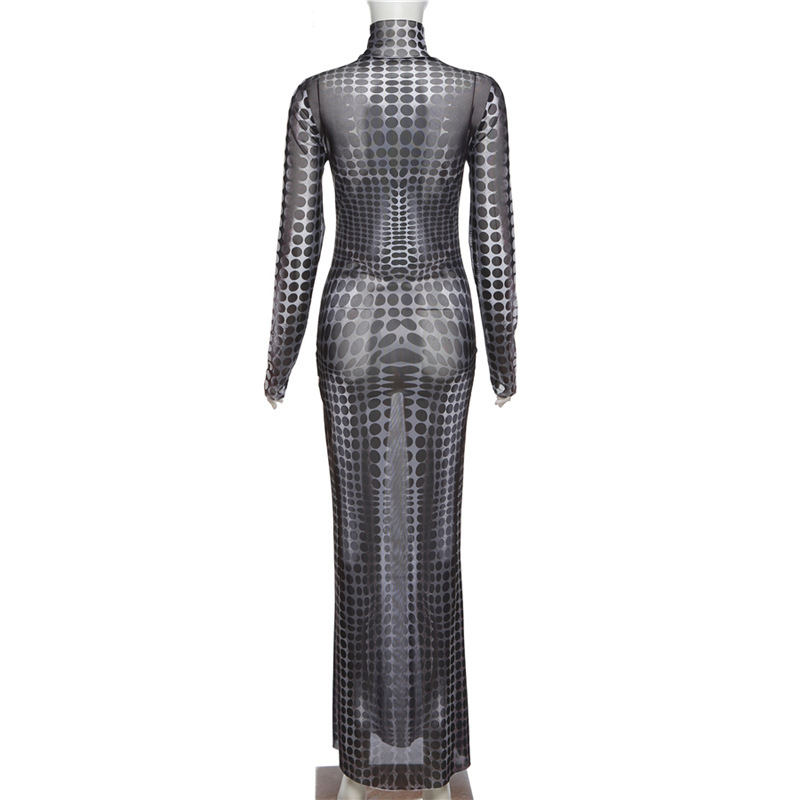 Women's Sheath Dress Sexy High Neck Printing Long Sleeve Polka Dots Maxi Long Dress Street display picture 9