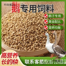 SҽZιZСZ_ZwȫrBֳ̫