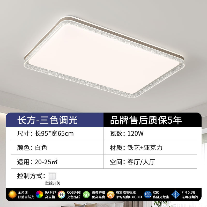 现代简约轻奢吸顶灯高级感大气卧室2025年新款意式极简客厅吸顶灯|undefined
