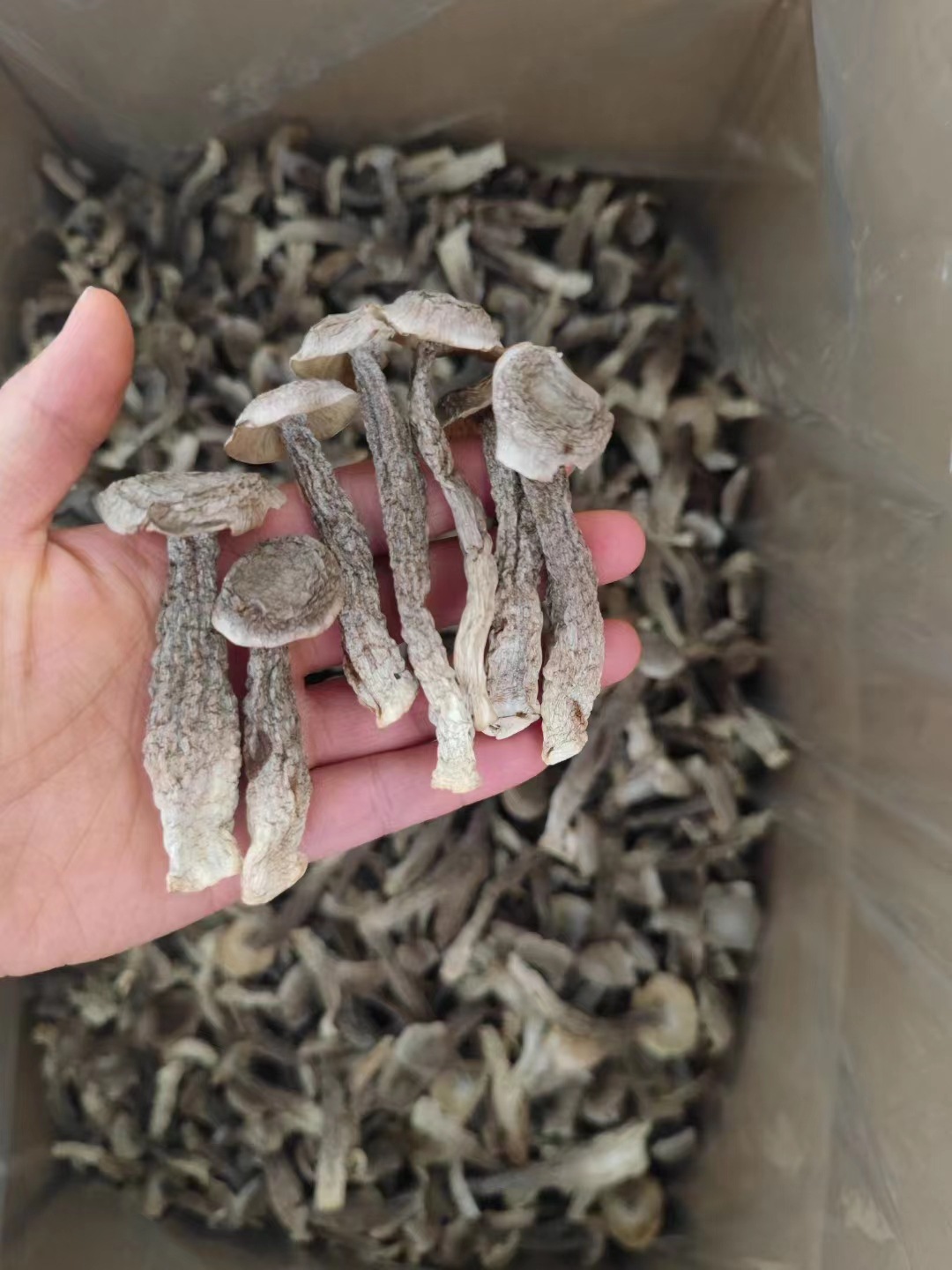 f92f72f331493b6736baa5b7eadc6d