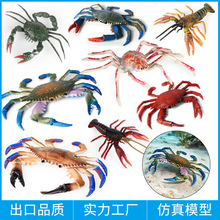 跨境仿真海洋动物模型青螃蟹帝王蟹小龙虾青蟹三点蟹儿童认知玩具