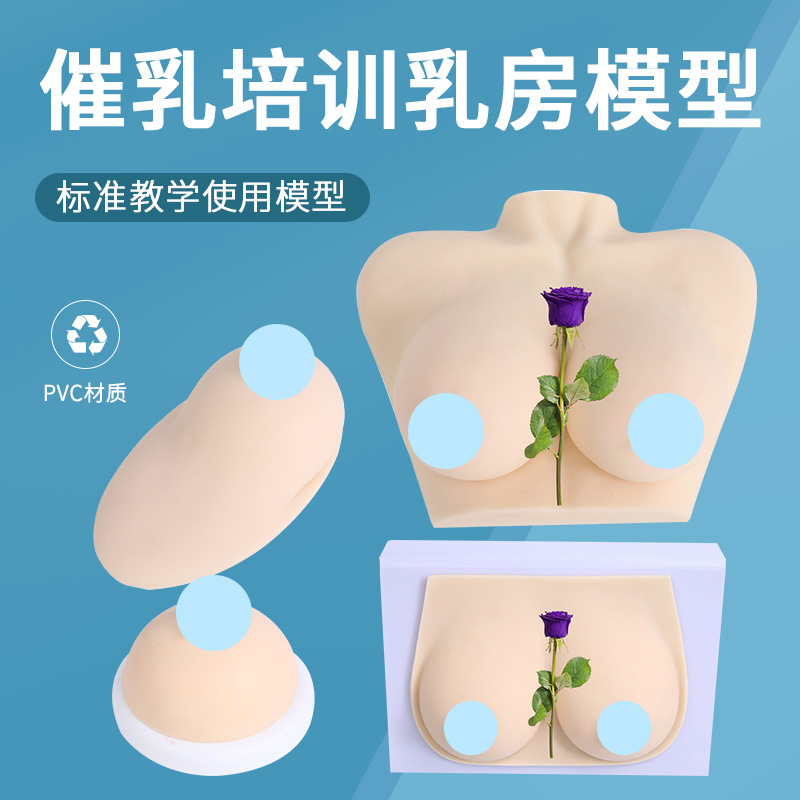 ������ɩ�������Ů���鷿����ʦ��ѵ���߲���轺�鷿�̾�ģ��